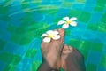 Female legs and white flowers in the pool. Water romantic background with legs Royalty Free Stock Photo