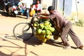 Tender Coconut Vendor in India
