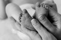 Tender Connection: A Close-Up of Newborn Feet Held by Loving Hands Royalty Free Stock Photo