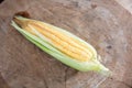 Tender corn cobs peeled to reveal the kernels of corn Royalty Free Stock Photo