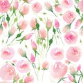 Tender delicate cute elegant lovely floral colorful spring summer red, blue, purple and yellow wildflowers and pink roses with gre