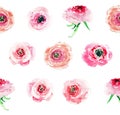 Tender elegant sophisticated wonderful lovely floral herbal spring colorful wildflowers roses with buds pattern watercolor