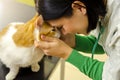 Tender female vet comforting,cat