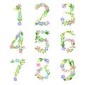 Tender Floral Numbers with Decorative Nature Elements Vector Set