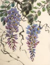 Tender flowering wisteria