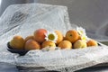 Tender fresh apricots on a black dish Royalty Free Stock Photo