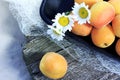 Tender fresh apricots on a black dish Royalty Free Stock Photo