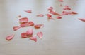 Tender fresh pink petals scattered on a light wooden table top