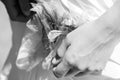 Tender Hold, Black and White Wedding Detail Royalty Free Stock Photo