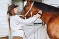 Tender horse woman cowgirl in hat. Cleaning muzzling grooming brushing horse. Animal care harness. Horse back riding.