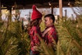 Tender hugs of young couple in love among green market of Christmas trees in city Royalty Free Stock Photo