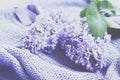 Tender lilac flowers over knitted sweater