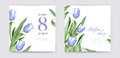 Tender Mother`s Day, 8 march woman`s day vector, editable cute greeting card, poster, banner. Watercolor purple tulip flowers,