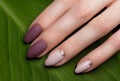 Tender neat manicure on female hands on green leaves background. Nail design