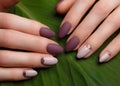 Tender neat manicure on female hands on green leaves background. Nail design Royalty Free Stock Photo