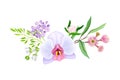 Tender Orchid Bloom Arranged with Flowering Stems and Twigs Vector Illustration