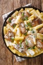 Tender pasta Tortiglioni with chicken in a spicy creamy sauce with herbs close-up in a plate on the table. Vertical top view