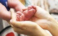 Tender photo about mom`s love for a child, women`s hands hold the legs of a newborn baby