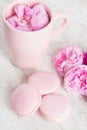 Tender pink macaroons on white wood background Royalty Free Stock Photo