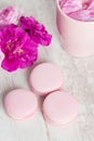Tender pink macaroons on white wood background Royalty Free Stock Photo
