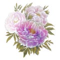 Tender Pink and purple peonies bouquet composition