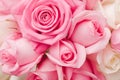 Tender pink roses bouquet Royalty Free Stock Photo