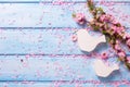 Tender pink sakura flowers and two white wooden decorative bird Royalty Free Stock Photo