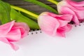 Tender pink tulips on wooden table