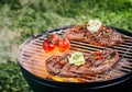 Tender portions of rump steak grilling on a fire Royalty Free Stock Photo