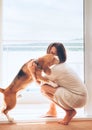 Tender scene on sunny terrace: beagle dog kisses its owner Royalty Free Stock Photo