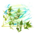 Tender spring dead-nettle flowers and hand painted blue and green watercolor blot spot. Decor element isolated on white background