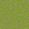 Tender Spring Grass. Seamless TileableTexture. Royalty Free Stock Photo