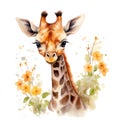 Tender Watercolor Giraffe Calf Stretching to Taste the Topmost Tree Flowers AI Generated Royalty Free Stock Photo