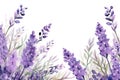 Tender watercolor lavender flowers on white background. Generative AI