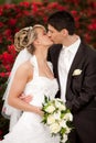 Tender wedding kiss red roses Royalty Free Stock Photo