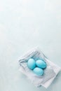 Tender white blue Easter decoration, painted Easter eggs. Copy s Royalty Free Stock Photo