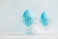 Tender white blue Easter decoration, painted Easter eggs. Copy s Royalty Free Stock Photo