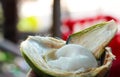 Tender white coconut meat malai scooped out of raw coconut selectively focused Royalty Free Stock Photo