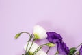 Tender white and purple flowers of eustoma. Flat lay, top view, copy space. Wedding invitation. Feminity and tenderness Royalty Free Stock Photo