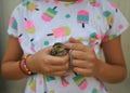 Tenderness concept image with girl holding a baby quail chick on a summer day