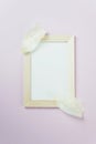 A tenderness white frame on the pink background. A tenderness white frame with the petals Royalty Free Stock Photo