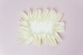 A tenderness white frame on the pink background. A tenderness white frame with the petals Royalty Free Stock Photo