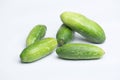 Tendli or Ivy Gourd , Coccinia grandis in white background, Satara Royalty Free Stock Photo