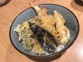 Crisp tempura rice bowl. Royalty Free Stock Photo