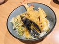 Crisp tempura rice bowl. Royalty Free Stock Photo