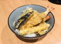 Crisp tempura rice bowl. Royalty Free Stock Photo