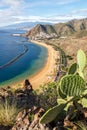 Tenerife beach Teresitas Canary islands sea water Spain travel traveling portrait format Atlantic Ocean