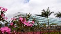 Tenerife,Canary islands,Spain - March 25, 2023. View of Royal Hideaway Corales Suites five-star hotel located in Costa Adeje