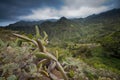 Tenerife, Canary Islands, Spain - Parque Nacional del Teide Royalty Free Stock Photo