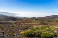 Tenerife. Canary Islands. Spain. Royalty Free Stock Photo